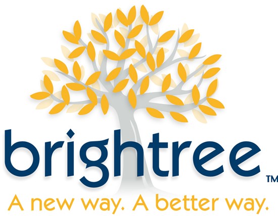 Brightree (Revised Logo)